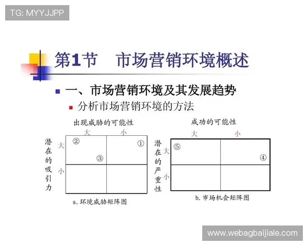 多宝视讯公司所在地区的市场环境与行业竞争格局分析